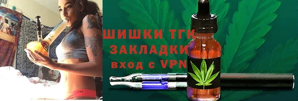 крисы Баксан