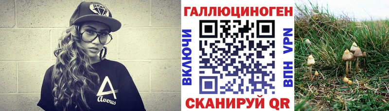 Псилоцибиновые грибы Psilocybine cubensis  Купить закладки  Алексин 